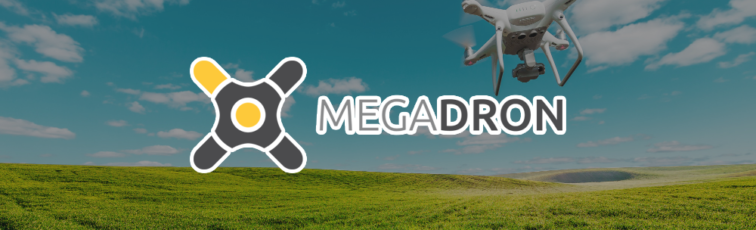Megadron.pl - case study kampanii SEO