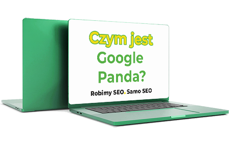 Czym jest Google Panda - Definicja w słowniku SEO